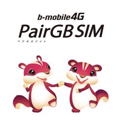 pairgbsim