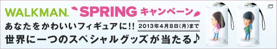 wmsrgcam2013